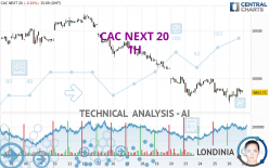 CAC NEXT 20 - 1 uur