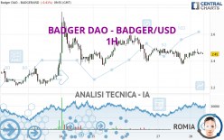 BADGER DAO - BADGER/USD - 1H