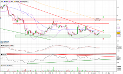 CELLNOVO - Daily