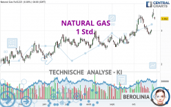 NATURAL GAS - 1 uur