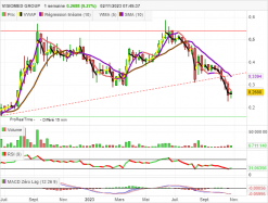 VISIOMED GROUP - Wekelijks