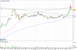 UMANIS - Daily