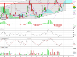 CATANA GROUP - 1 Std.