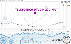 TELEFONICA DTLD HLDG NA - 1H