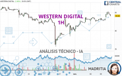 WESTERN DIGITAL - 1 Std.