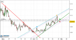 CINDICATOR - CND/USD - 8H