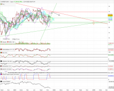 CARREFOUR - Daily