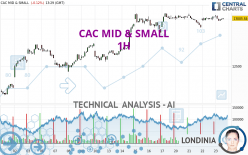 CAC MID & SMALL - 1H