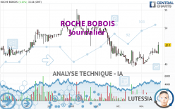 ROCHE BOBOIS - Journalier