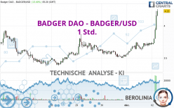 BADGER DAO - BADGER/USD - 1 Std.