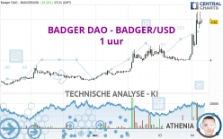 BADGER DAO - BADGER/USD - 1 uur