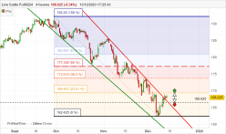 LIVE CATTLE - 4H