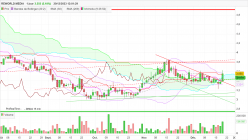 REWORLD MEDIA - Journalier