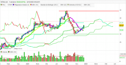 VERALLIA - Semanal