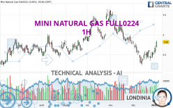 MINI NATURAL GAS FULL0524 - 1H