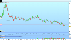 CORN ONLY0324 - Giornaliero