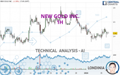 NEW GOLD INC. - 1H