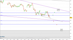 ROCHE GS - Journalier