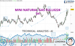 MINI NATURAL GAS FULL0524 - 1H