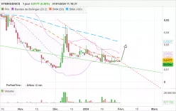 ATON - Daily