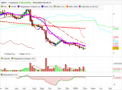 SMCP - Hebdomadaire