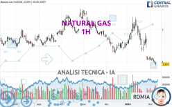 NATURAL GAS - 1 uur