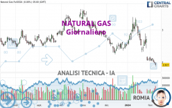 NATURAL GAS - Dagelijks