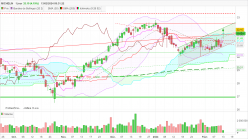 MICHELIN - Daily