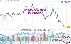 NATURAL GAS - Dagelijks