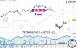 HEINEKEN - 1 Std.
