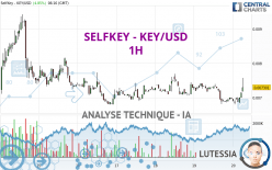 SELFKEY - KEY/USD - 1H