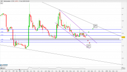 DBT - Weekly