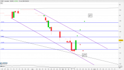 FERVI - Daily