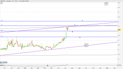 MAJESCO - Diario