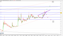 CARECLOUD INC. - Daily