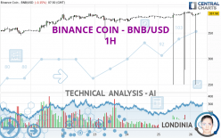 BINANCE COIN - BNB/USD - 1 Std.