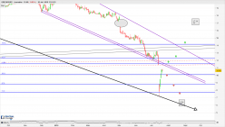 GREENYARD - Daily