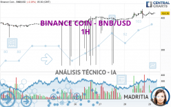 BINANCE COIN - BNB/USD - 1 Std.