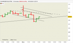 SCHNEIDER ELECTRIC - 30 min.