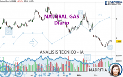 NATURAL GAS - Dagelijks