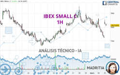 IBEX SMALL C - 1 Std.