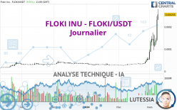 FLOKI INU - FLOKI/USDT - Journalier