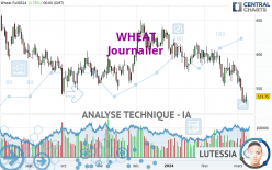 WHEAT - Daily