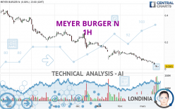 MEYER BURGER N - 1H