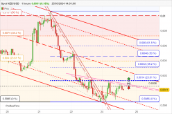 NZD/USD - 1 Std.