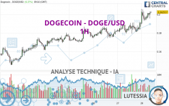 DOGECOIN - DOGE/USD - 1H