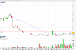 CGG - Semanal