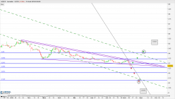 AEDES - Daily