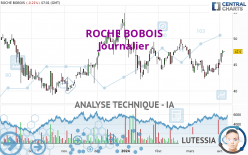 ROCHE BOBOIS - Journalier