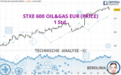 STXE 600 OIL&GAS EUR (PRICE) - 1 Std.